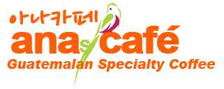 아나카페 _ 과테말라 스페셜티 커피 전문 기업·카페